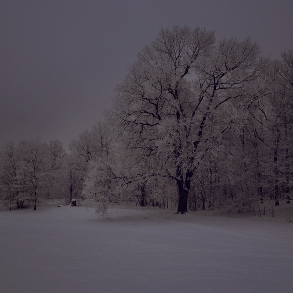 Winter rest